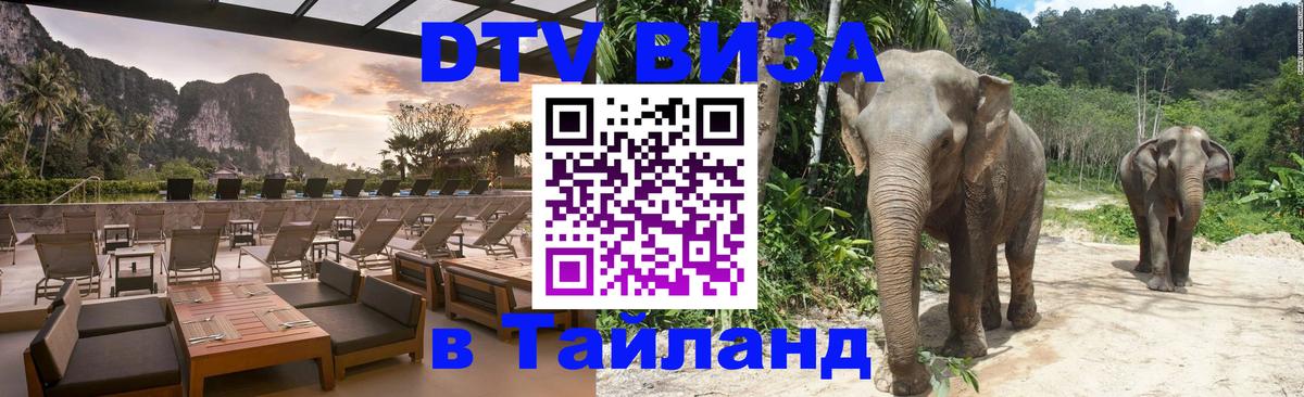 Оформление DTV визы под ключ: стоимость и тарифы, только загранпаспорт - Смоленск  20.11.2025 